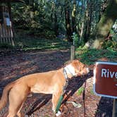 Review photo of Alfred A. Loeb State Park Campground by Laura M., April 23, 2025