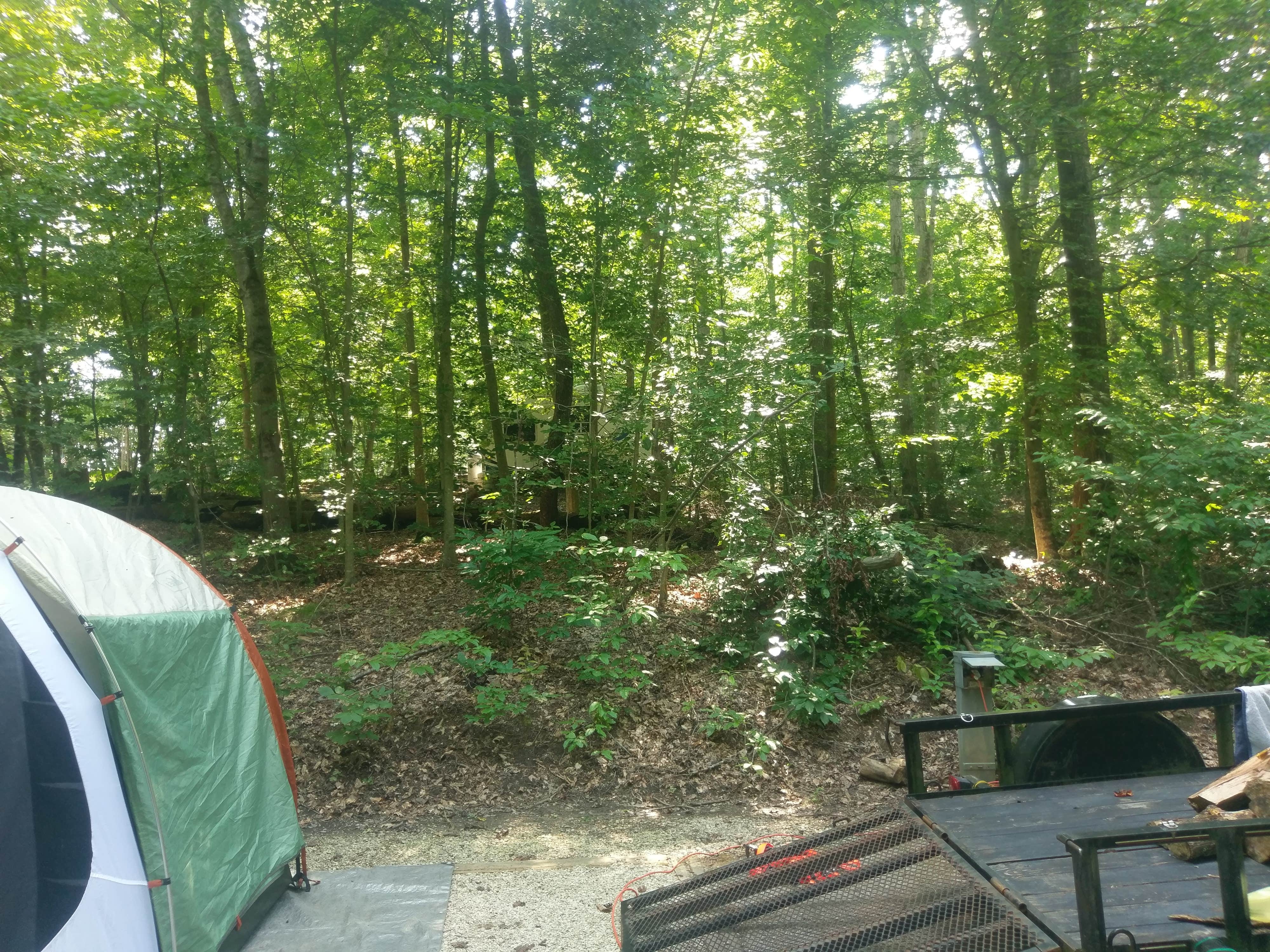 Chris R.'s photo at Zilpo Campground near Sandy Hook, KY