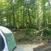 Review photo of Zilpo Campground by Chris R., July 22, 2019