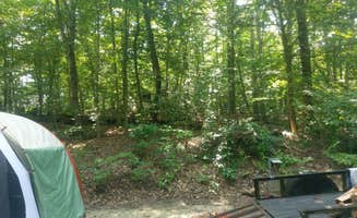 Chris R.'s photo at Zilpo Campground near Salt Lick, KY