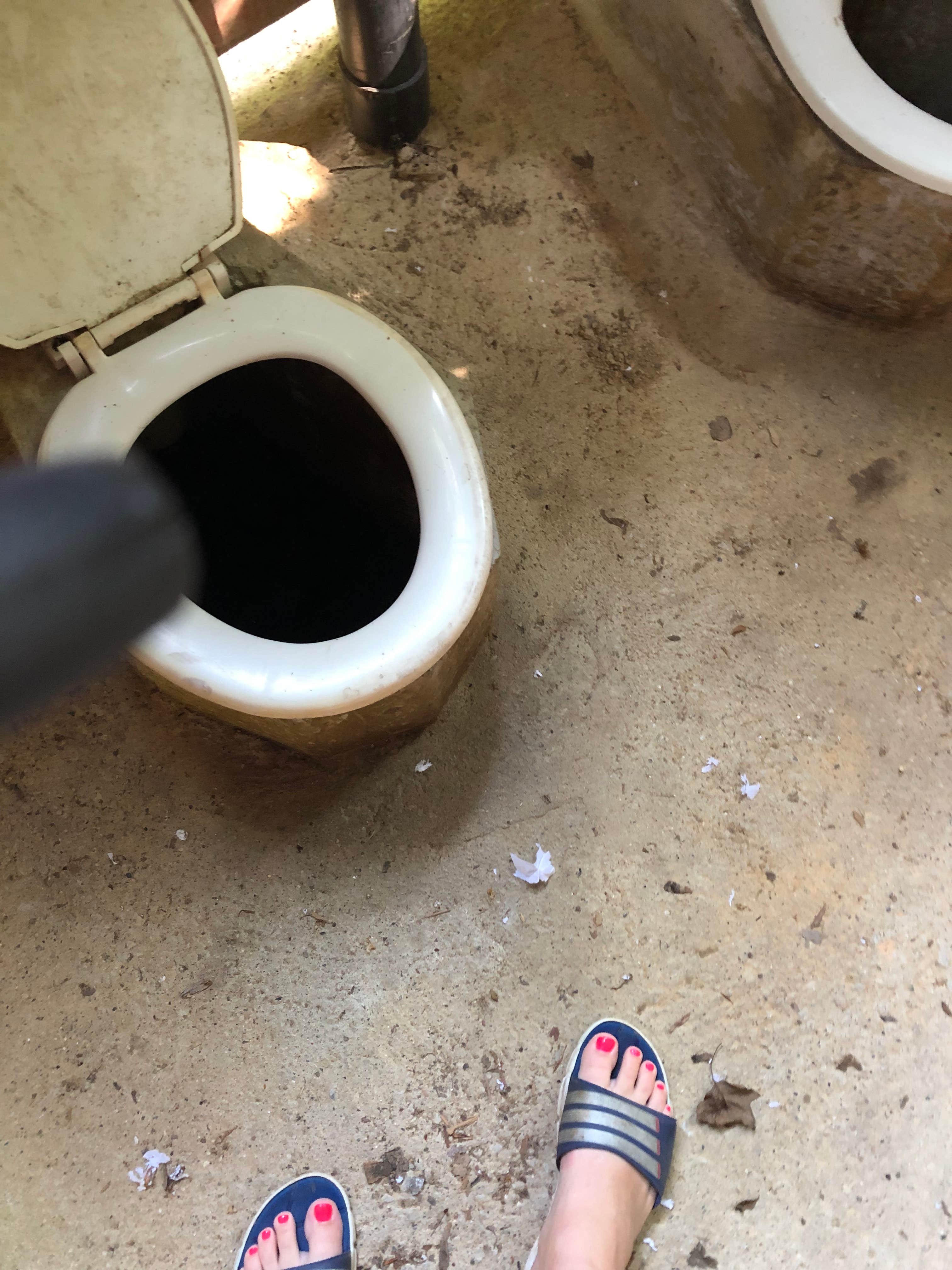 Camper-submitted photo at Horine Reservation Camping at Jefferson County Memorial Forest near Pewee Valley, KY