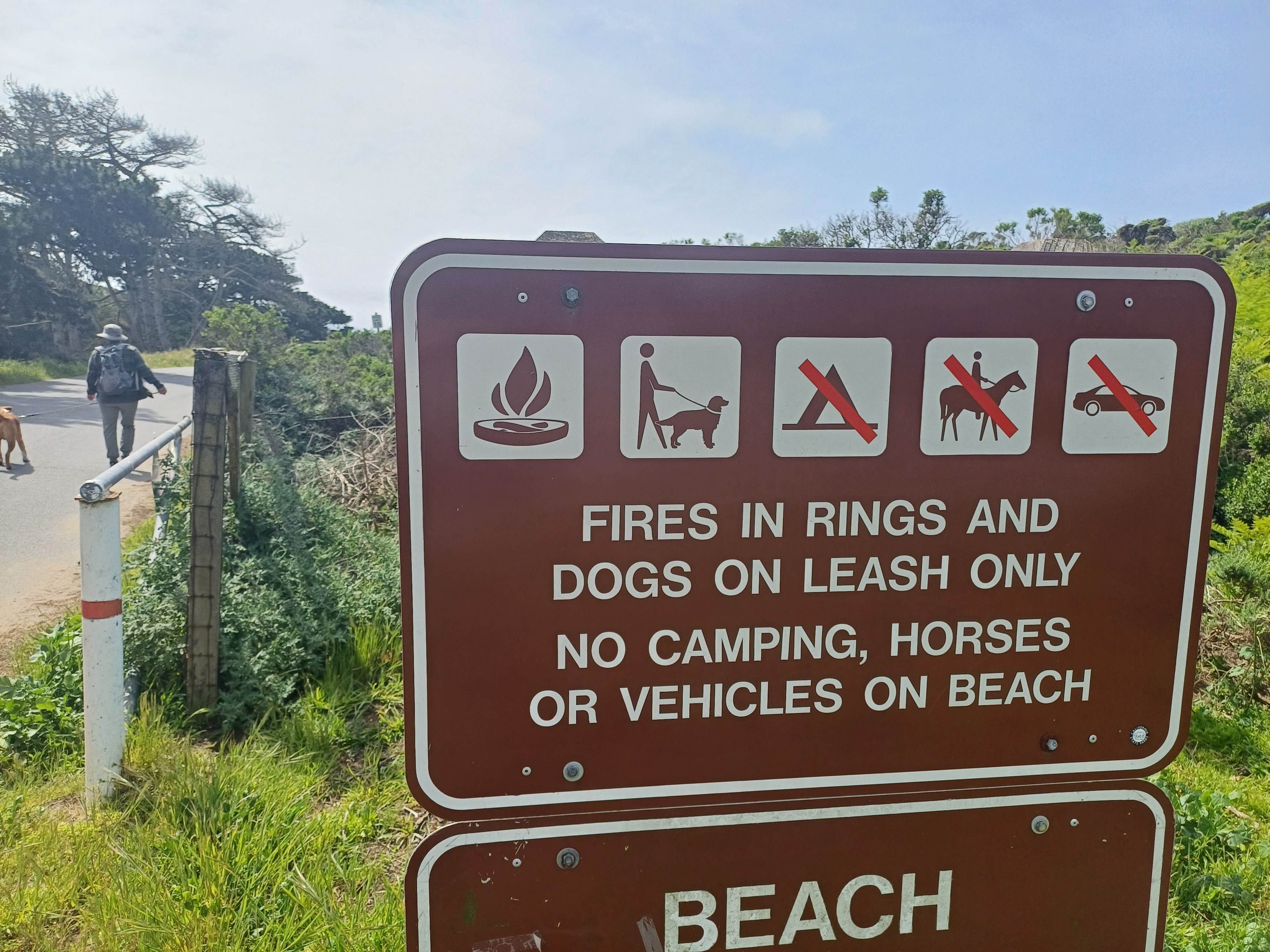 Laura M.'s photo of camping with pets at Sunset State Beach Campground near Carmel-by-the-Sea, CA