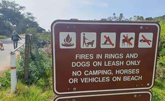 Laura M.'s photo of camping with pets at Sunset State Beach Campground near Santa Cruz, CA