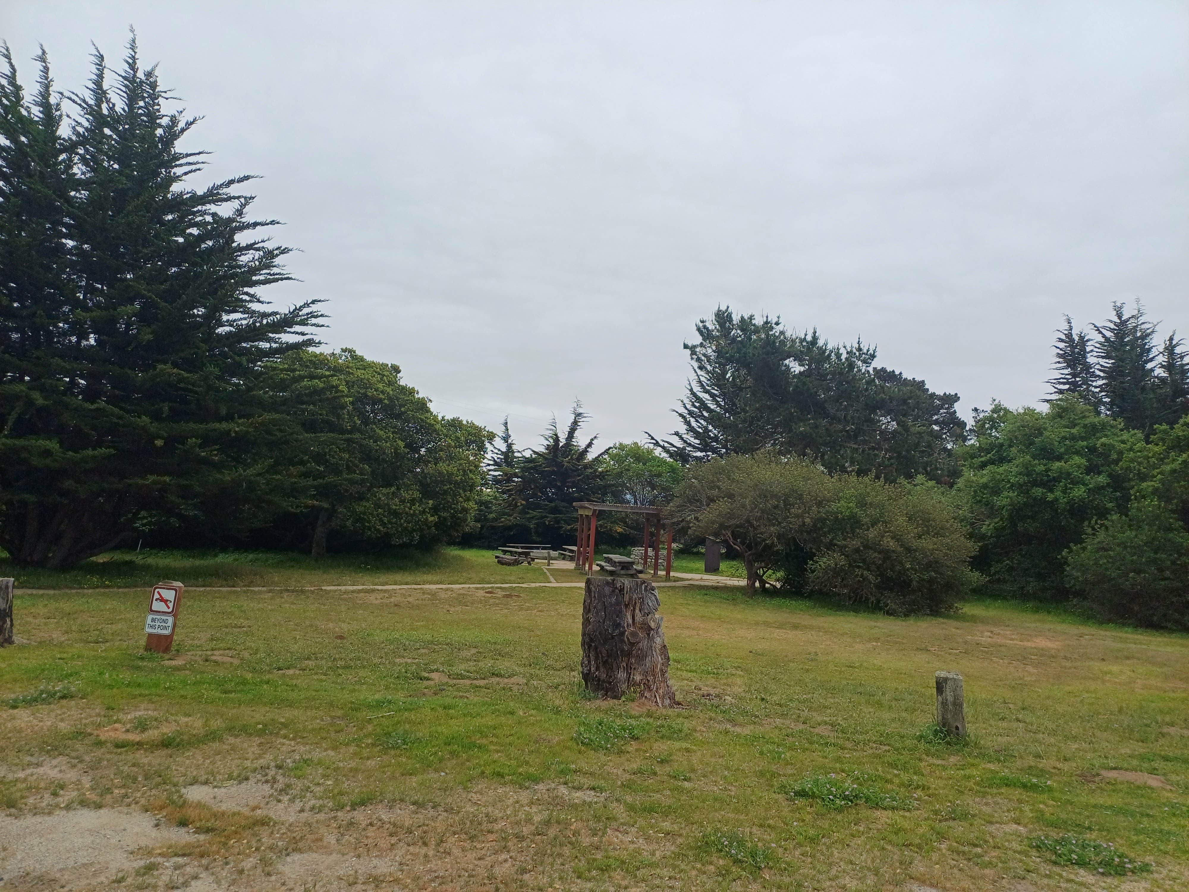 Camper-submitted photo at Sunset State Beach Campground near Freedom, CA