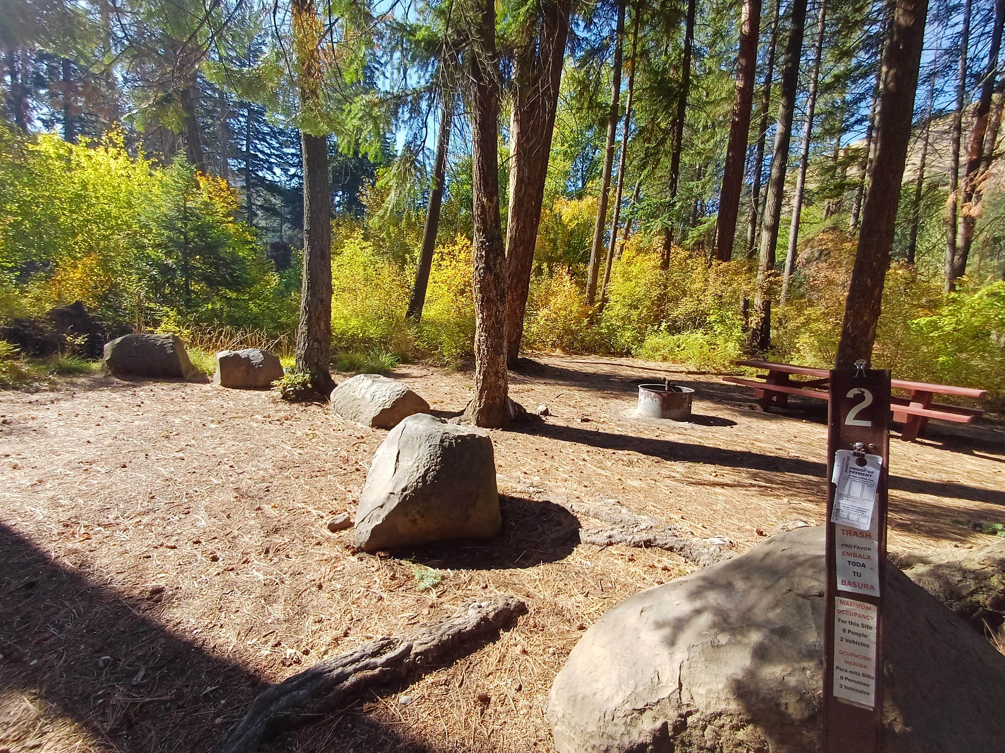 Camper submitted image from Tucannon Campground - 4
