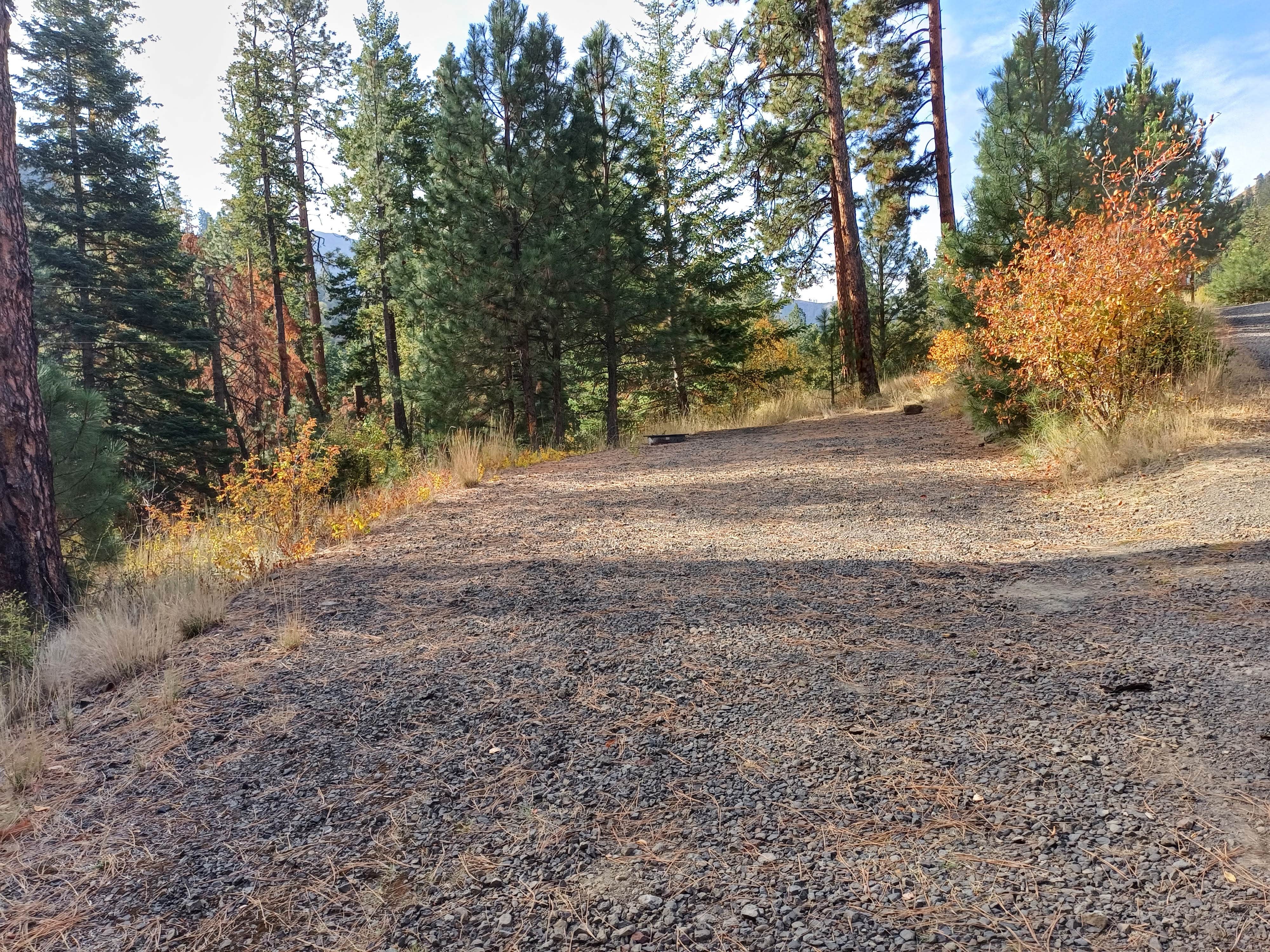 Camper submitted image from W.T. Wooten Campground #8 - 4