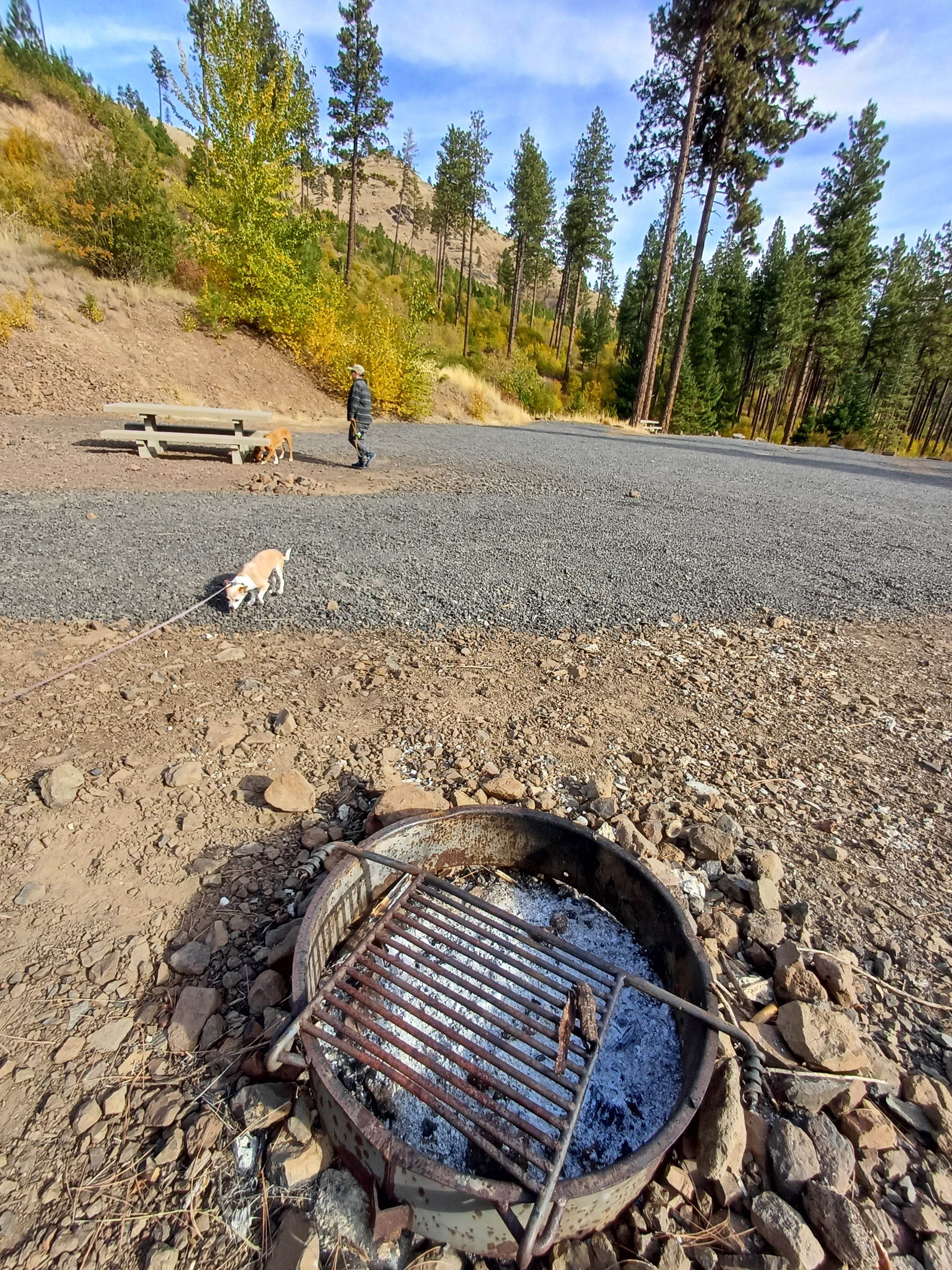 Laura M.'s photo of camping with pets at W.T. Wooten Campground #8 near Pullman, WA