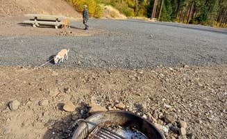 Laura M.'s photo of camping with pets at W.T. Wooten Campground #8 near Pullman, WA