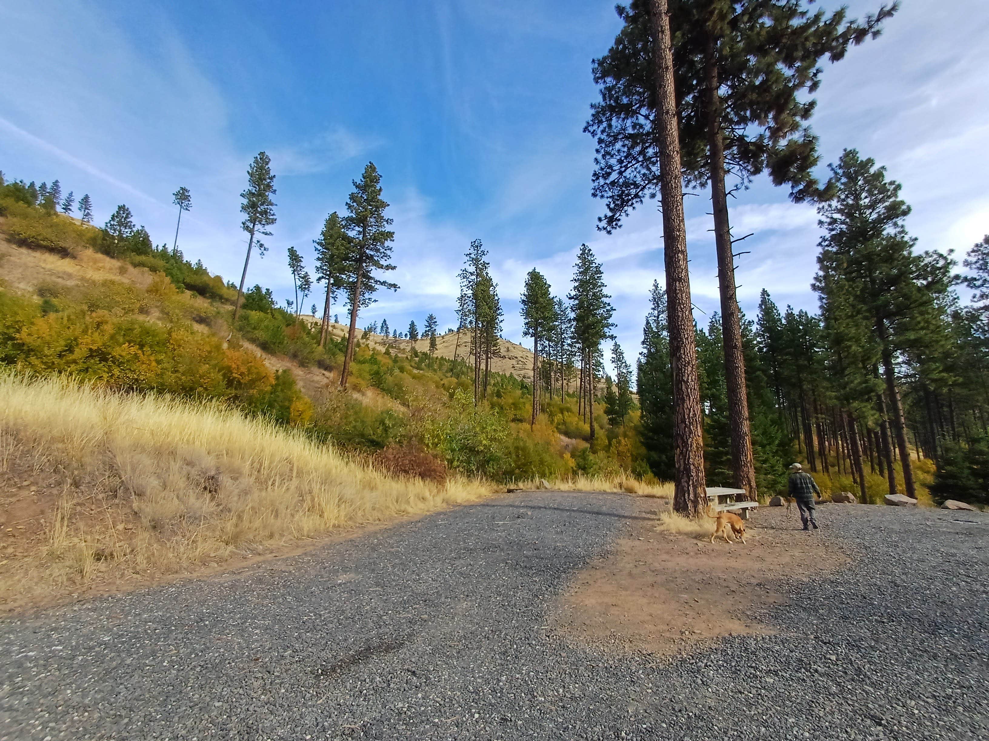 Camper-submitted photo at W.T. Wooten Campground #8 near Dayton, WA