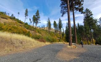 Laura M.'s photo of camping with pets at W.T. Wooten Campground #8 near Pullman, WA