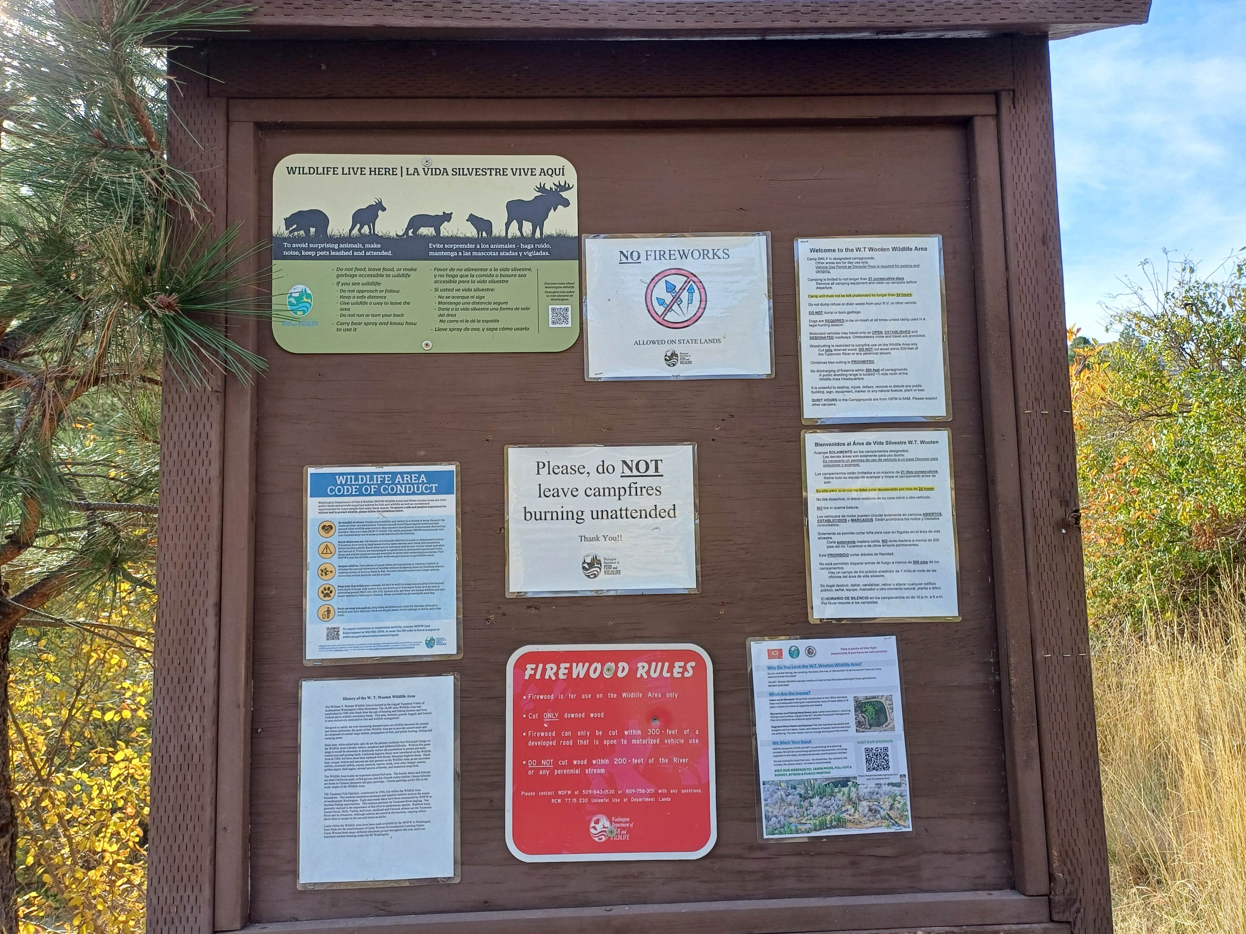 Camper-submitted photo at W.T. Wooten Campground #8 near Dayton, WA