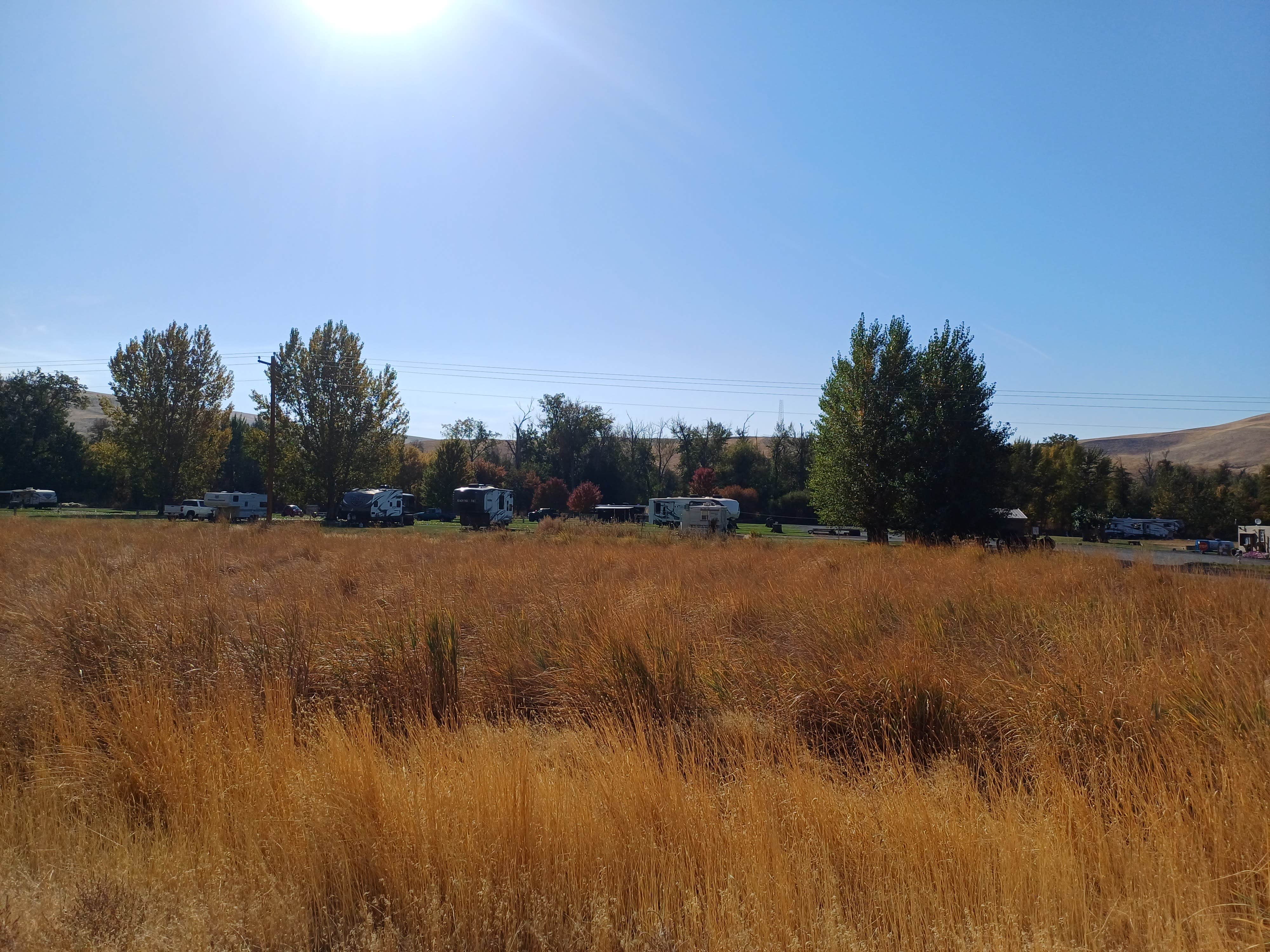 Camper-submitted photo at Tucannon River RV Park near Walla Walla, WA