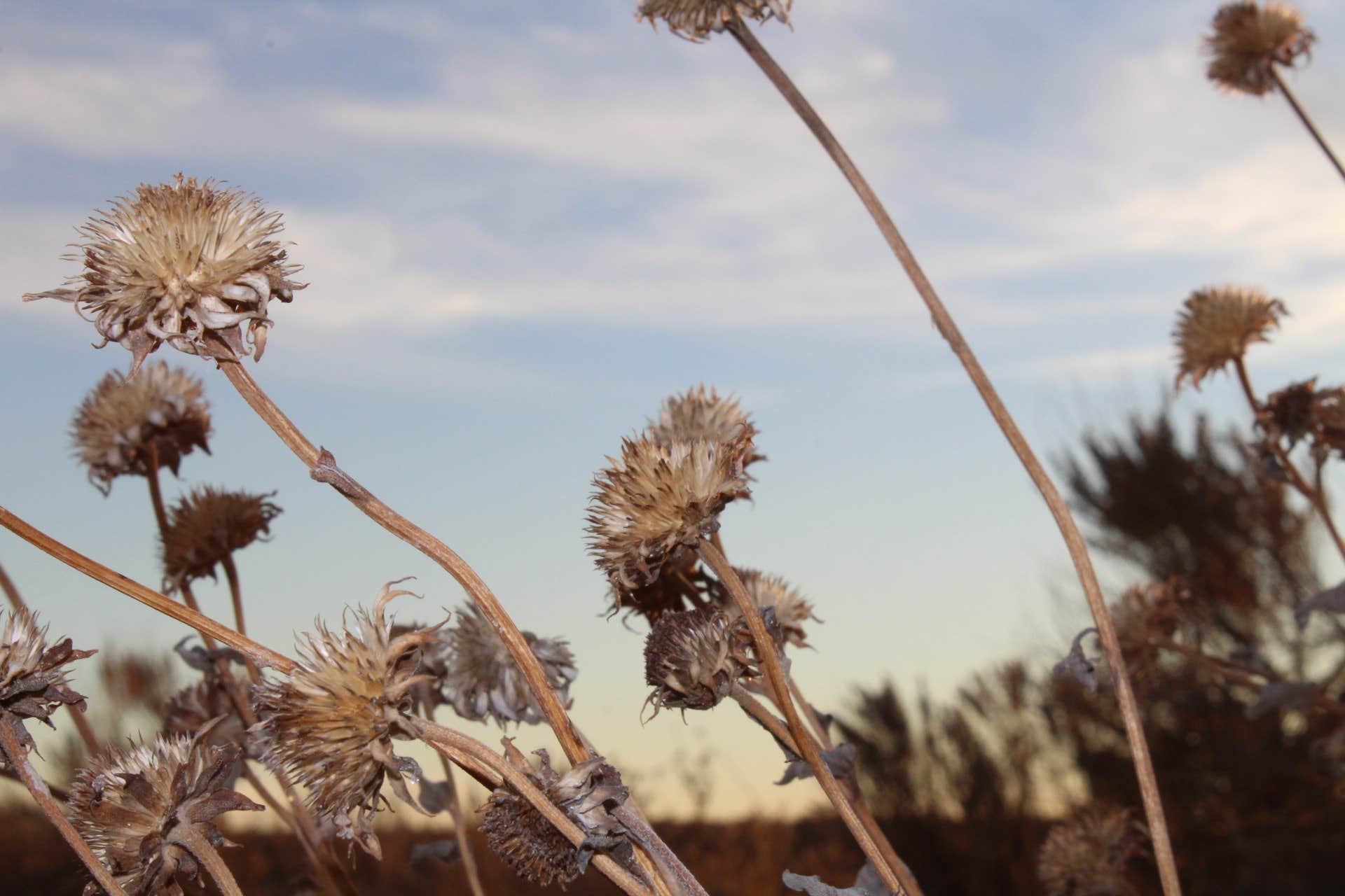 Camper-submitted photo at Sundance high plains and RV Park near Hasty, CO