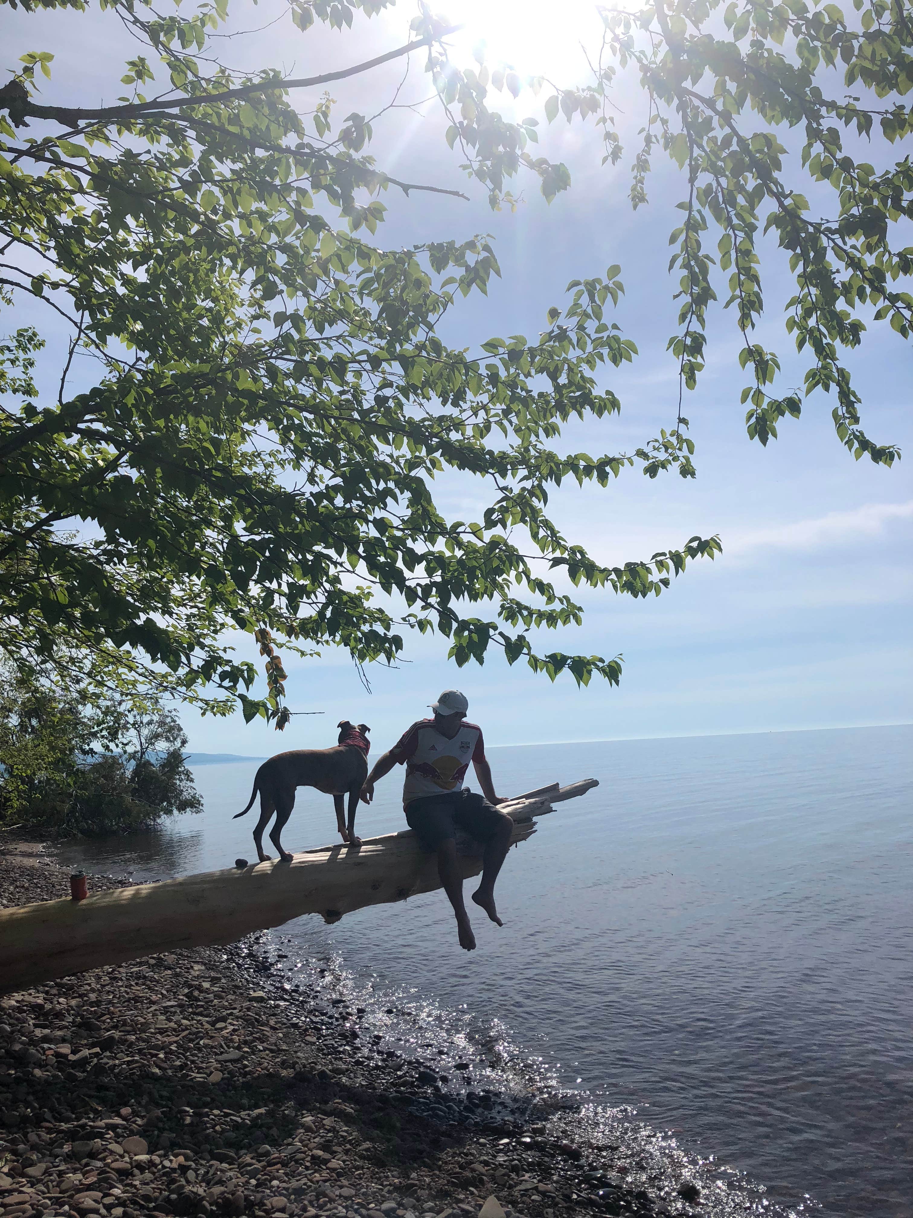 Josh M.'s photo of camping with pets at Presque Isle - Porcupine Mountains State Park near Ironwood, MI