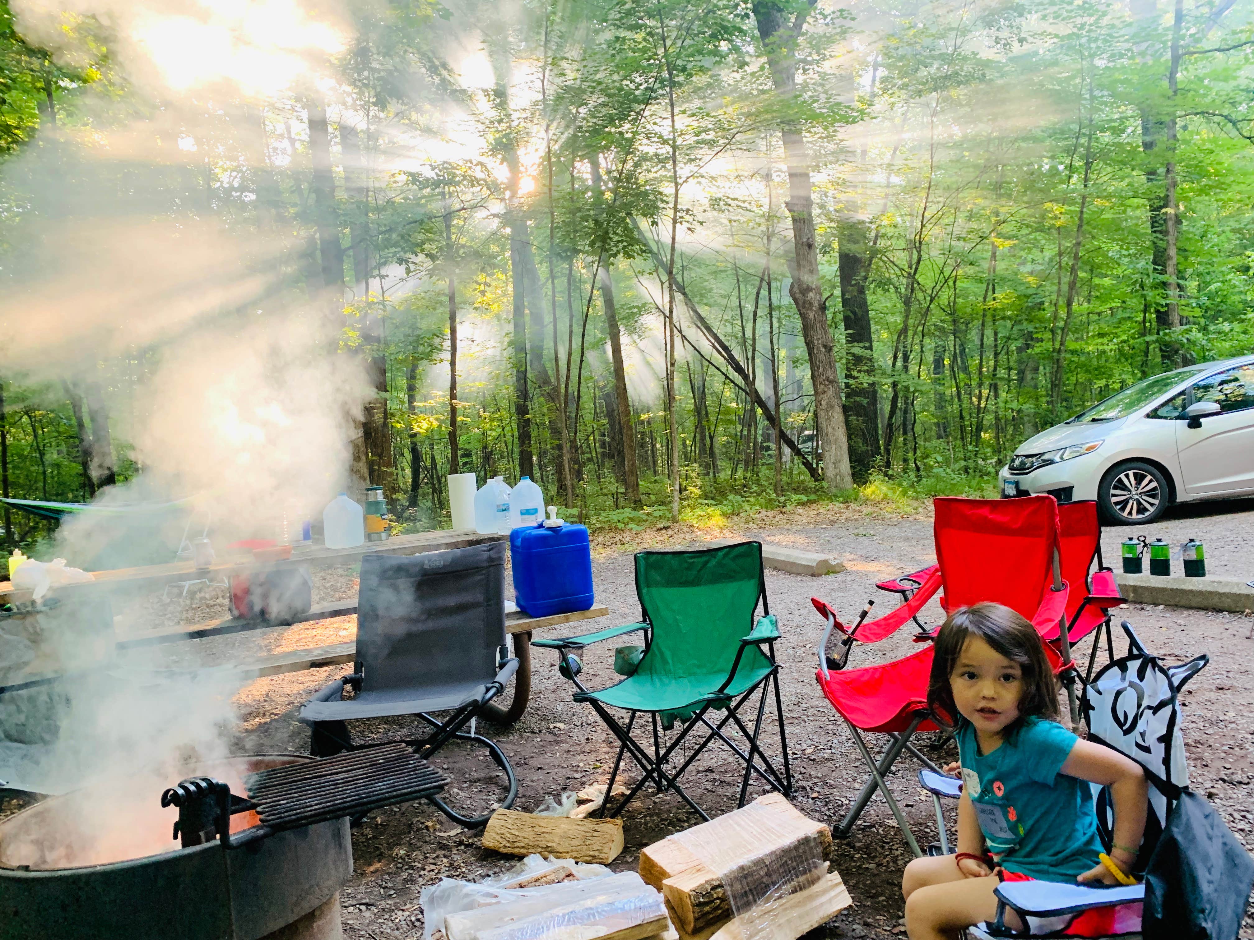 Camper submitted image from Wild River State Park Campground - 4