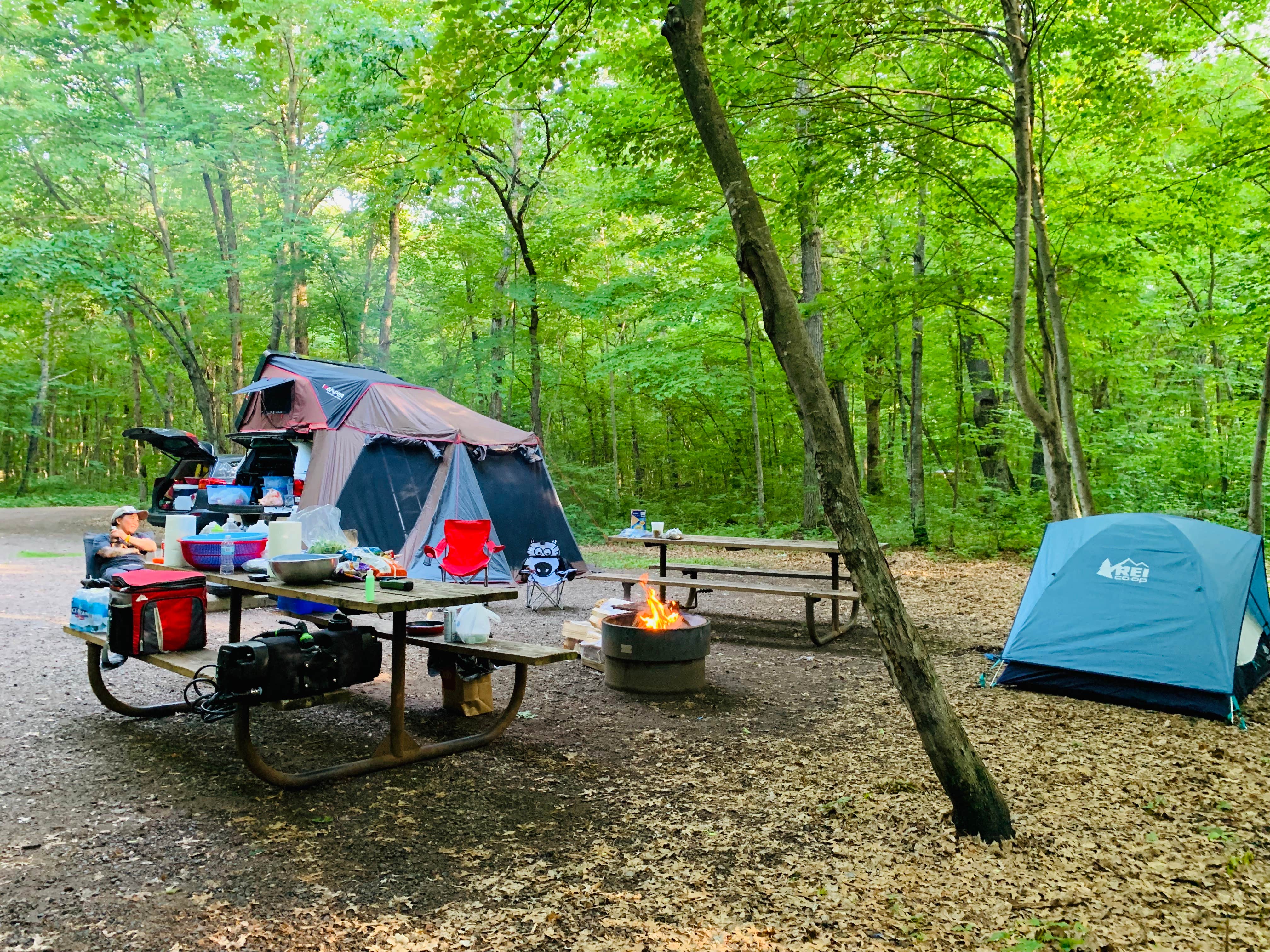 Mi S.'s photo at Wild River State Park Campground near Cambridge, MN