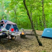 Review photo of Wild River State Park Campground by Mi S., July 22, 2019