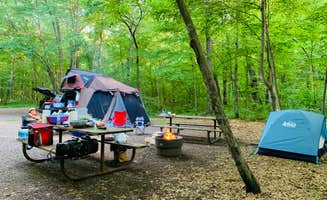 Mi S.'s photo at Wild River State Park Campground near Cambridge, MN