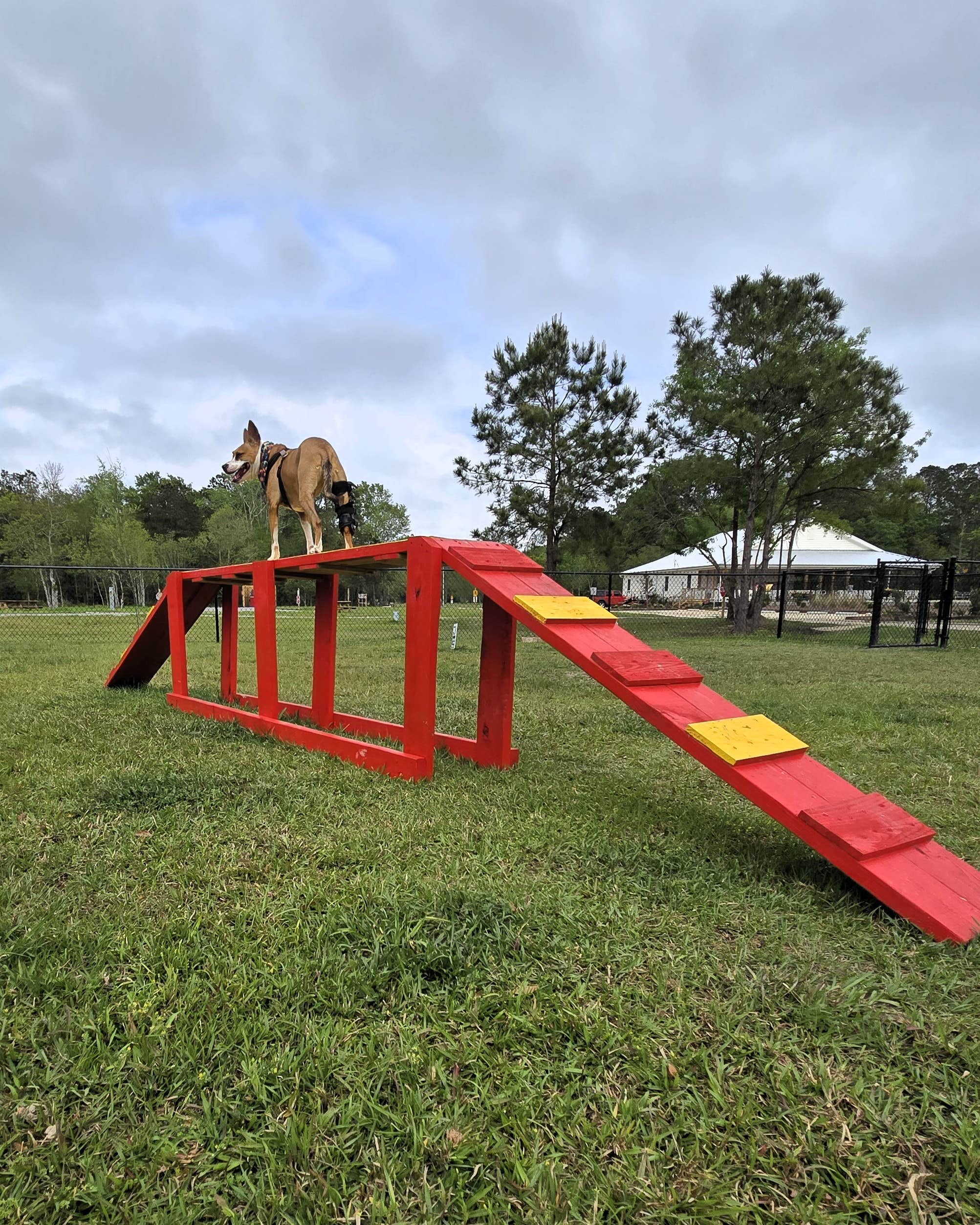 Slidell K.'s photo of camping with pets at Slidell KOA near Metairie, LA