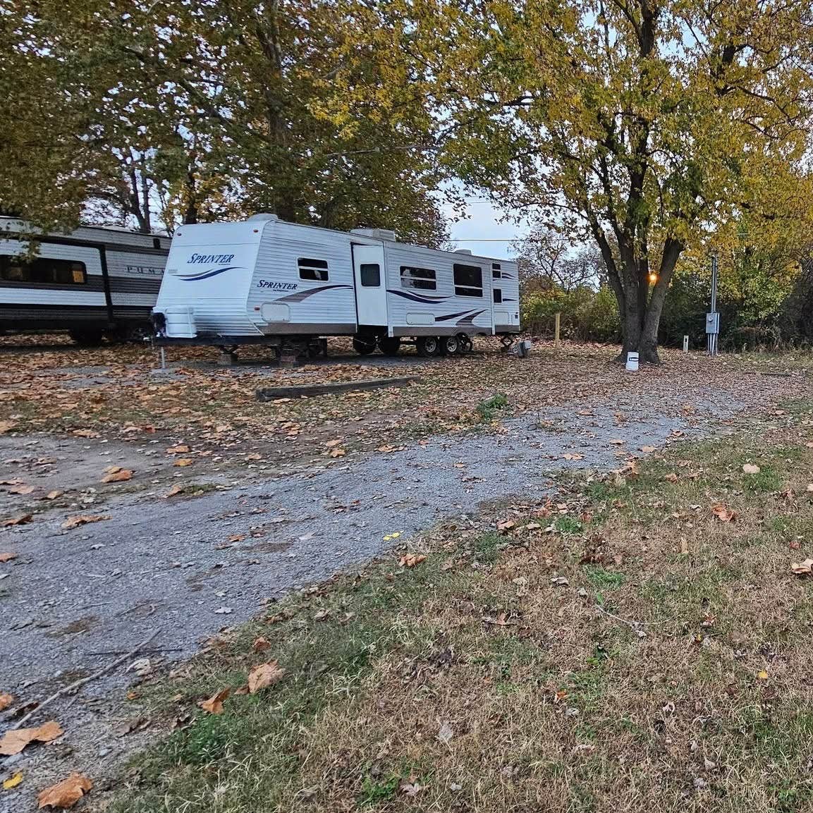 Camper-submitted photo at Willow RV Park near Manila, AR