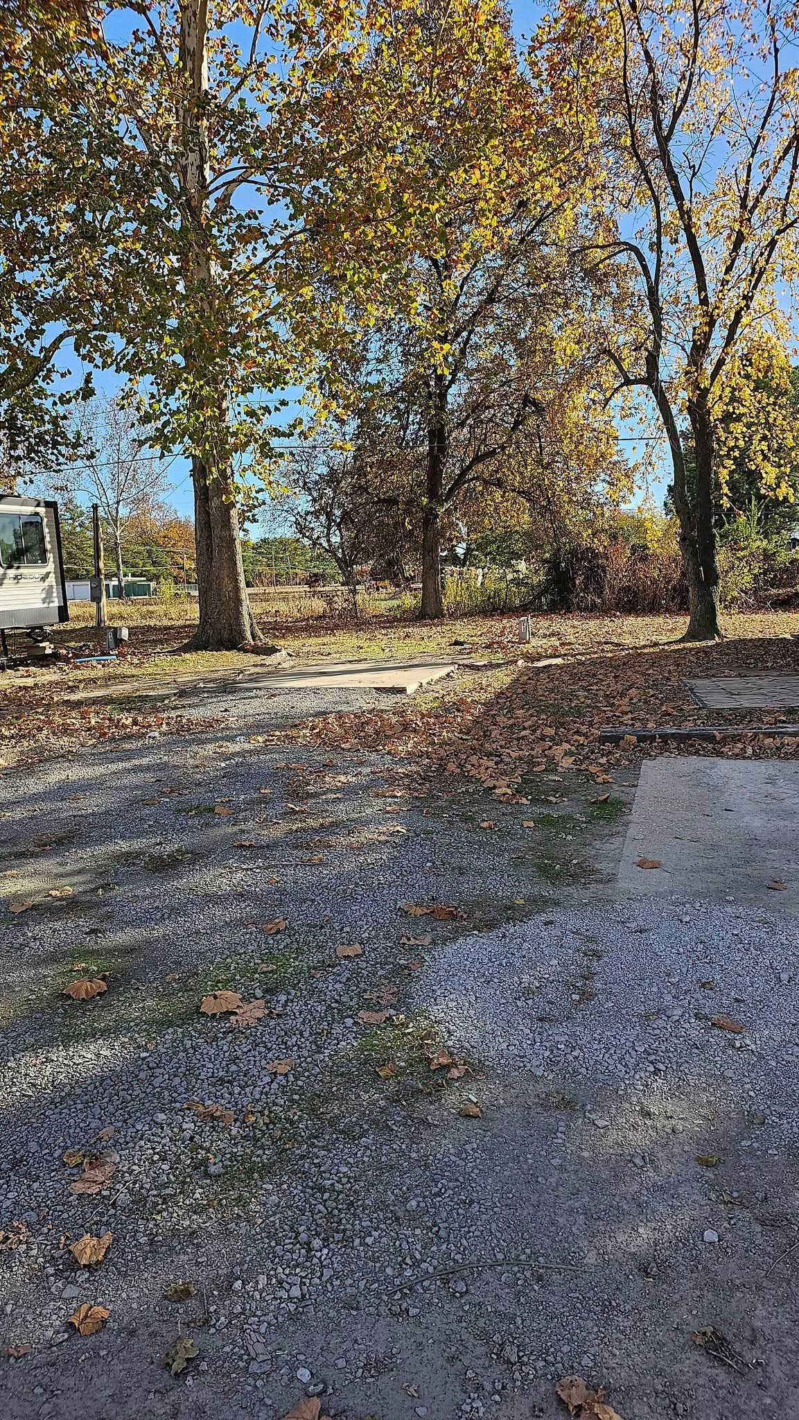 Camper-submitted photo at Willow RV Park near Manila, AR