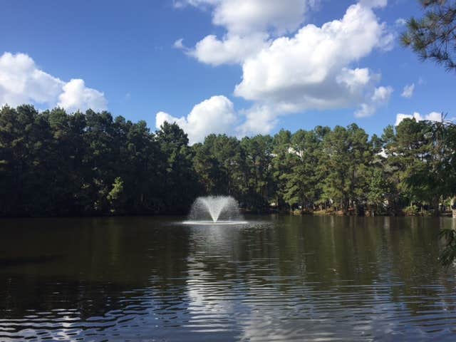 Camper submitted image from Lone Star Lakes RV Park - 4