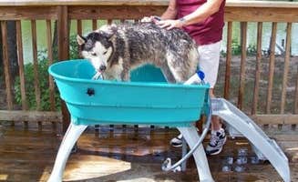 Angie G.'s photo of camping with pets at Lone Star Lakes RV Park near Coldspring, TX