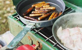 Ellen H.'s photo of camping with pets at Round Valley State Park Campground near Trenton, NJ