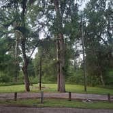 Review photo of Stephen Austin State Park Campground by Mark M., April 25, 2025