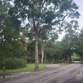 Review photo of Stephen Austin State Park Campground by Mark M., April 25, 2025