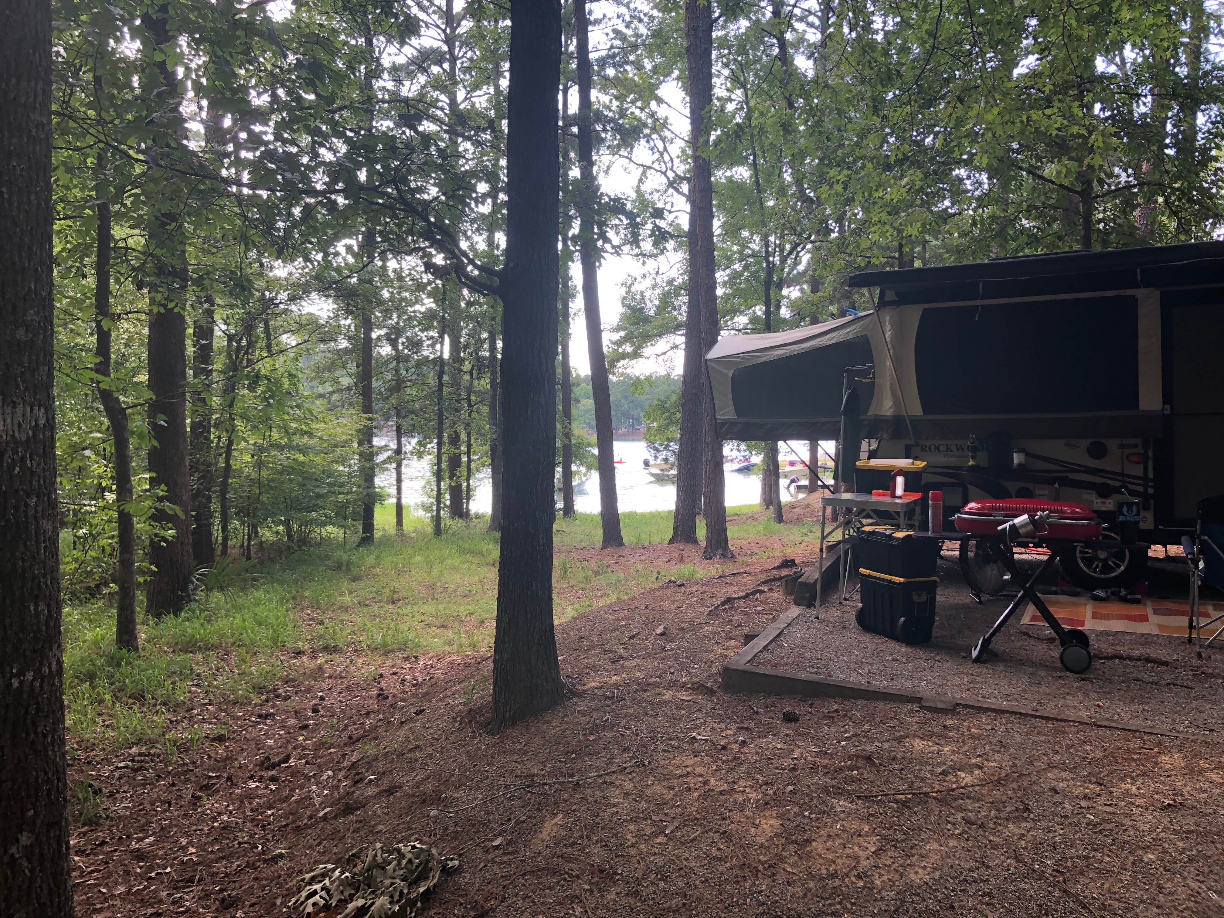 Camper submitted image from Elijah Clark State Park Campground - 3