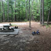 Review photo of Elijah Clark State Park Campground by Bill C., July 22, 2019