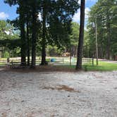 Review photo of Elijah Clark State Park Campground by Bill C., July 22, 2019