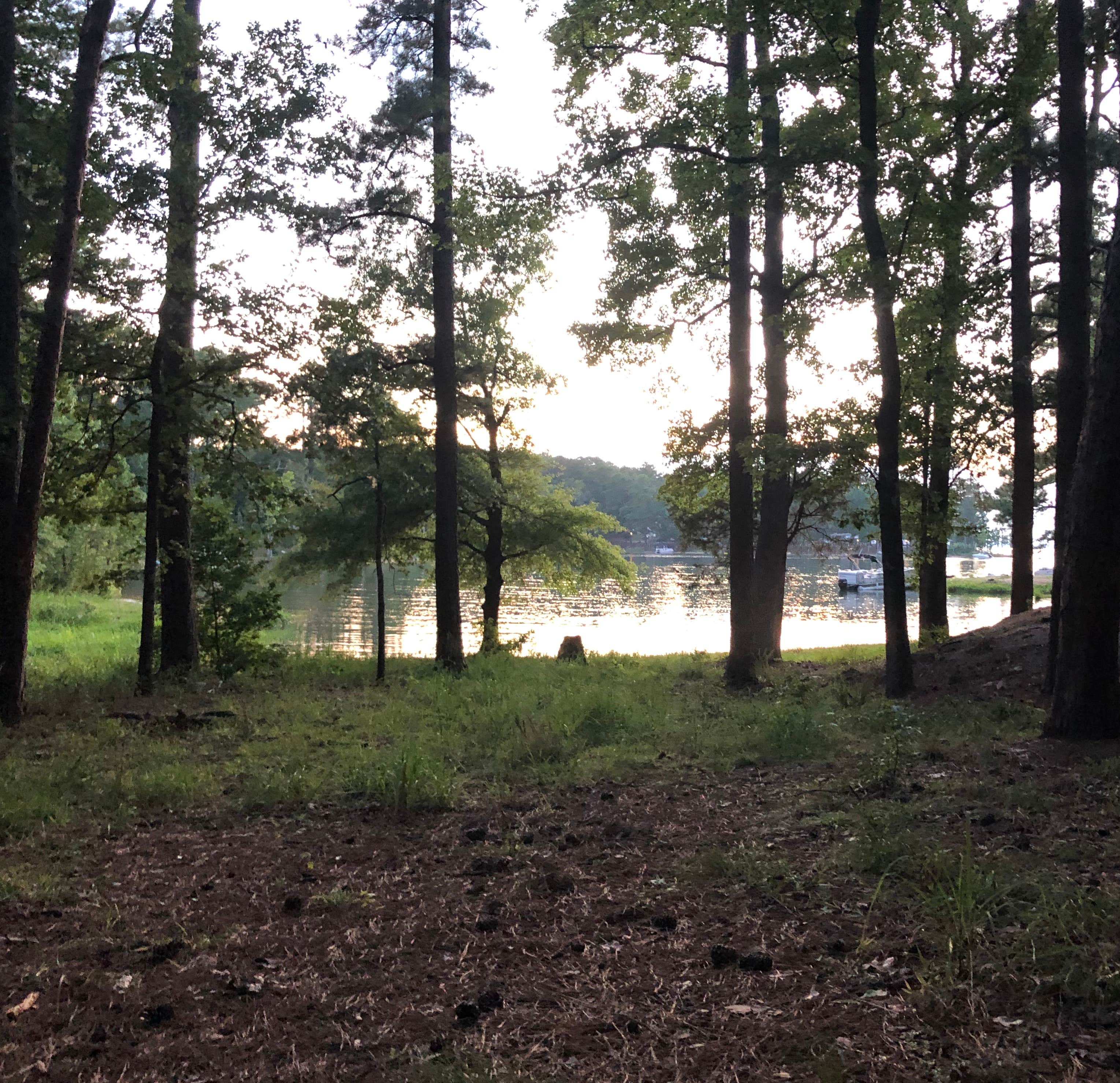 Camper-submitted photo at Elijah Clark State Park Campground near Aiken, SC