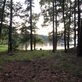 Review photo of Elijah Clark State Park Campground by Bill C., July 22, 2019