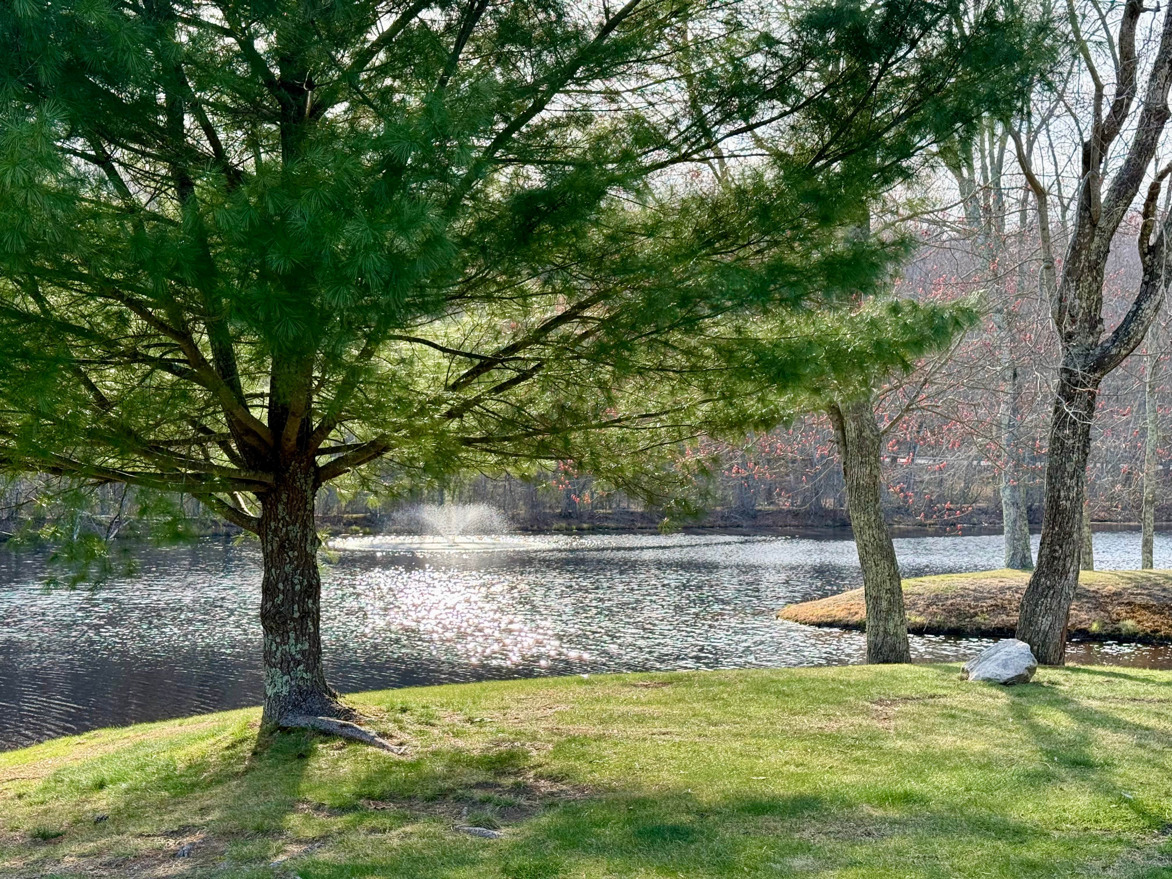 Camper-submitted photo at Aces High RV Park near Niantic, CT