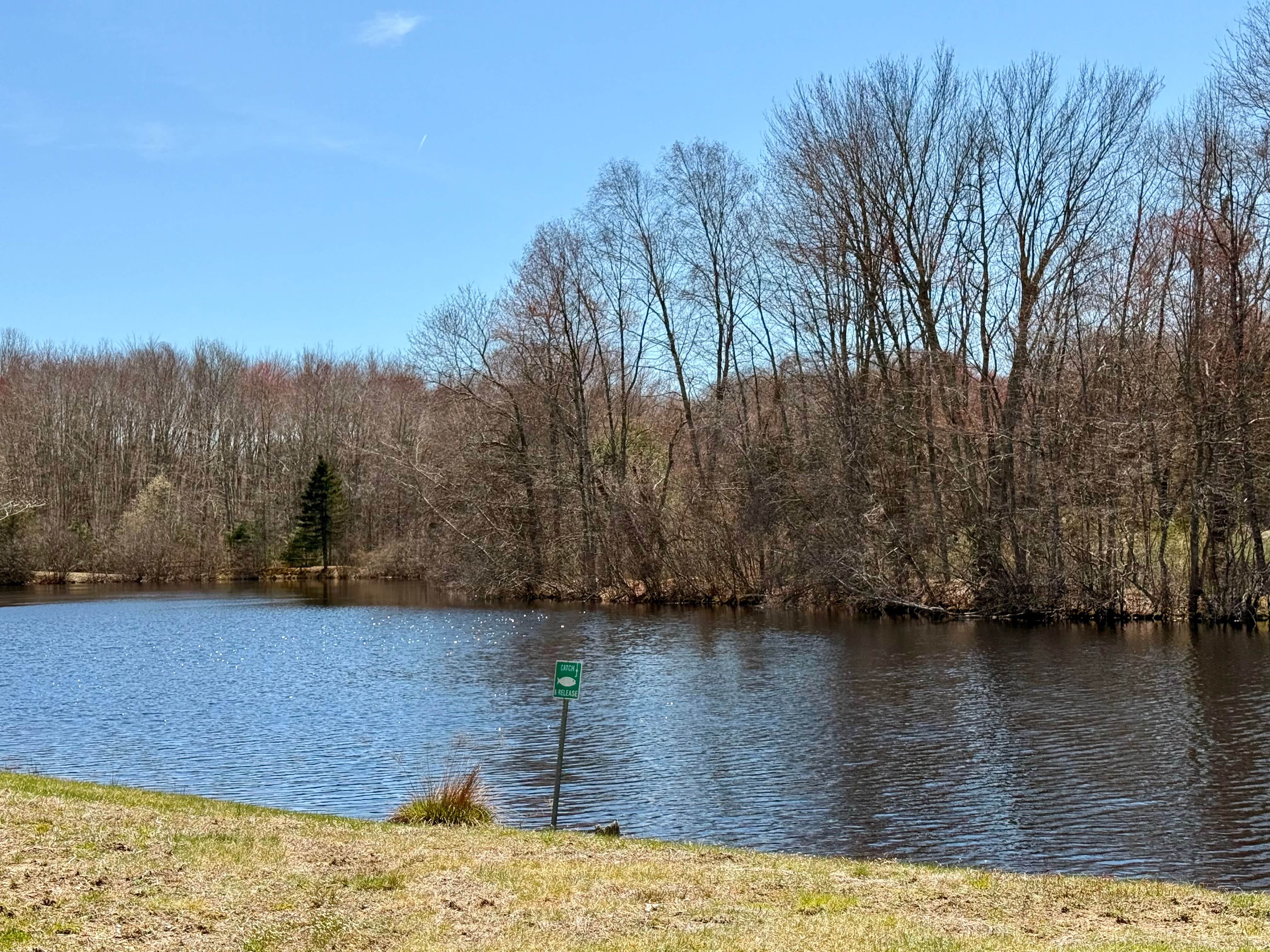 Camper-submitted photo at Aces High RV Park near Niantic, CT