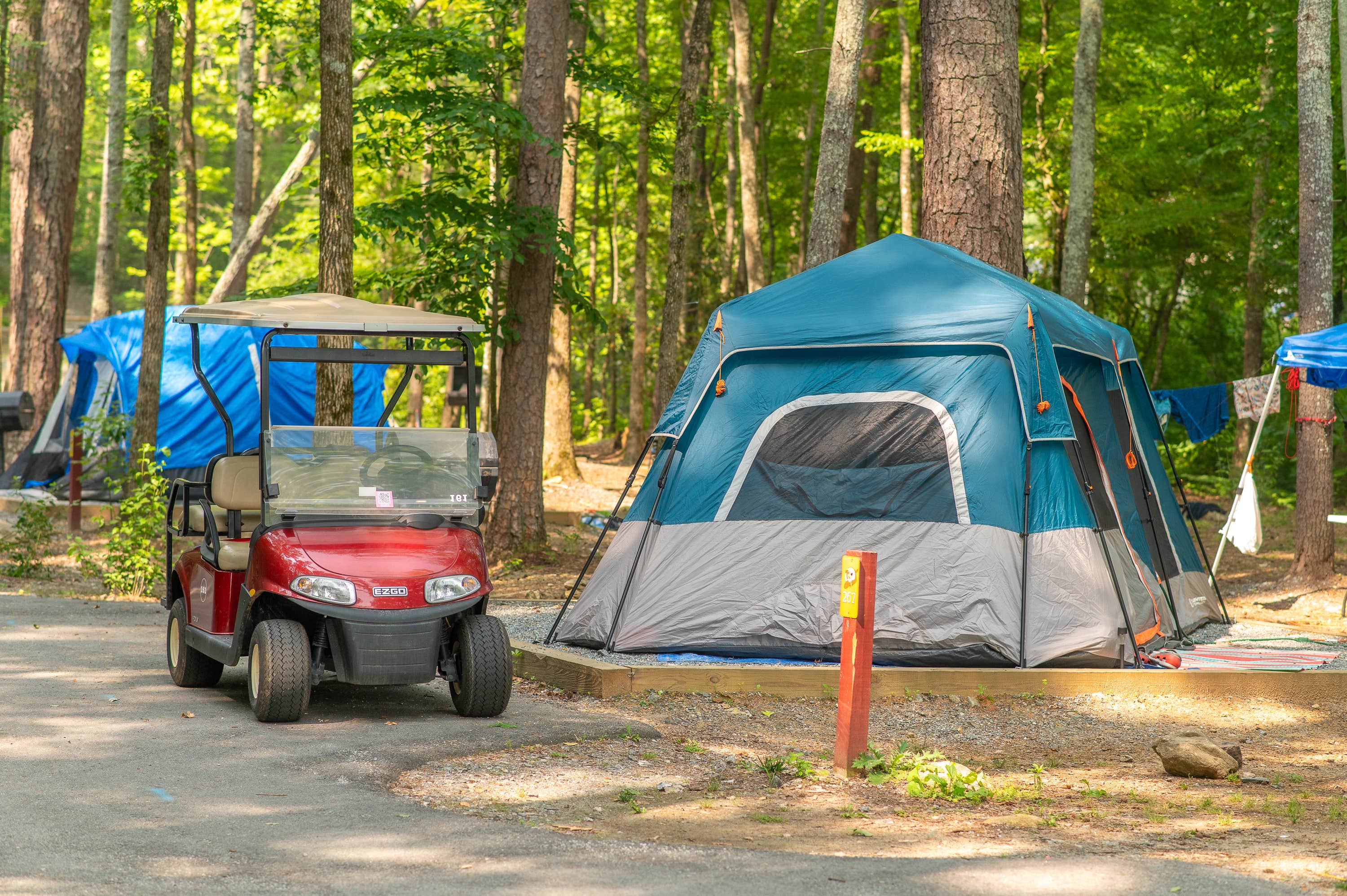 Northgate R.'s photo at Yogi Bear's Jellystone Park Golden Valley near Boiling Springs, NC