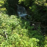 Review photo of East Campground — Smith Falls State Park by Pat V., July 22, 2019