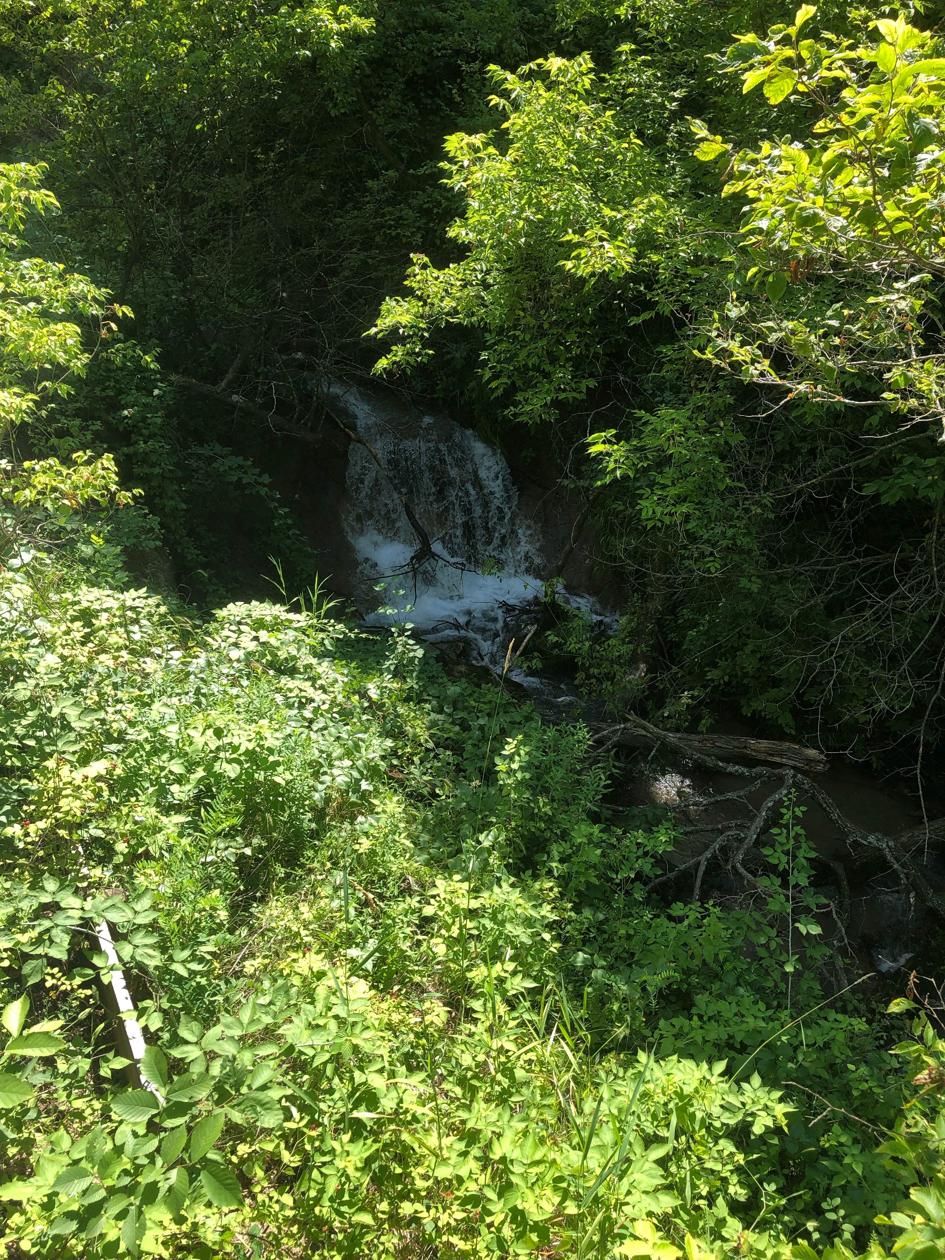 Camper submitted image from East Campground — Smith Falls State Park - 3