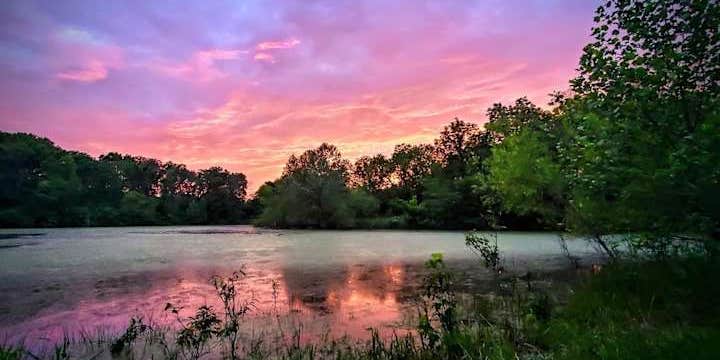 Camper submitted image from Perdue Homestead Farm