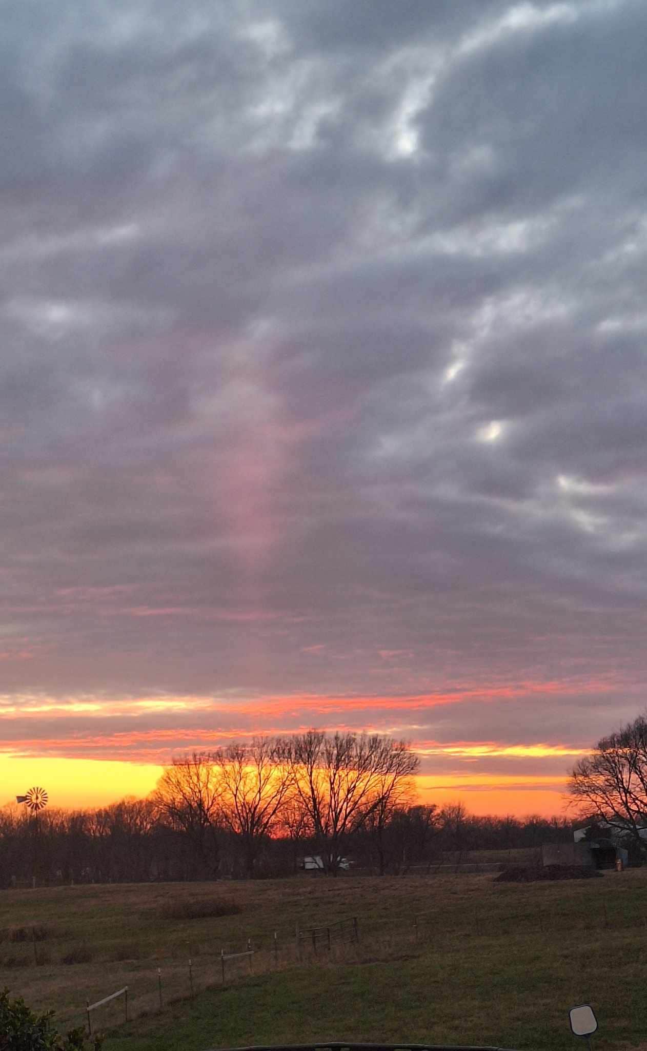Camper submitted image from Perdue Homestead Farm - 2