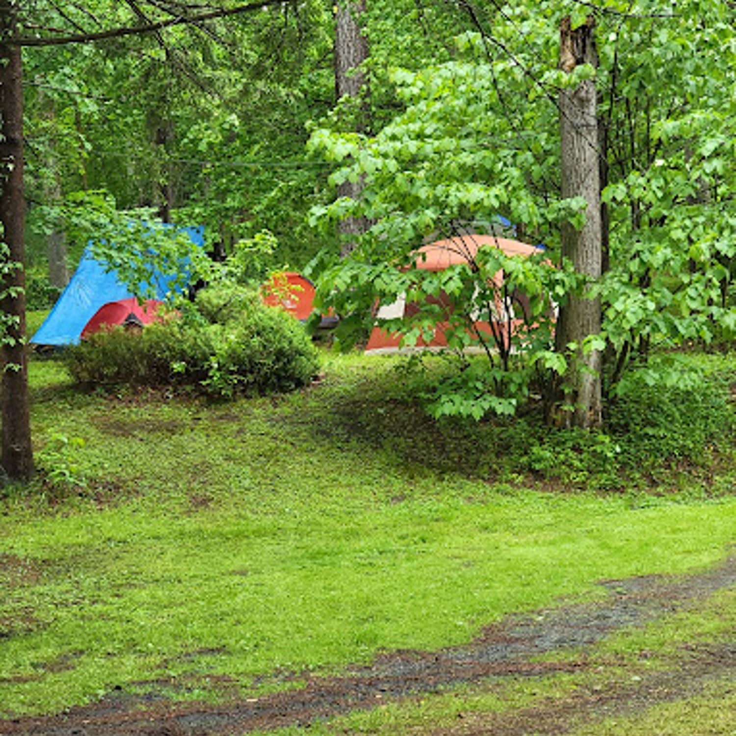 Camper-submitted photo at Woodward Cave Campground near Jersey Shore, PA