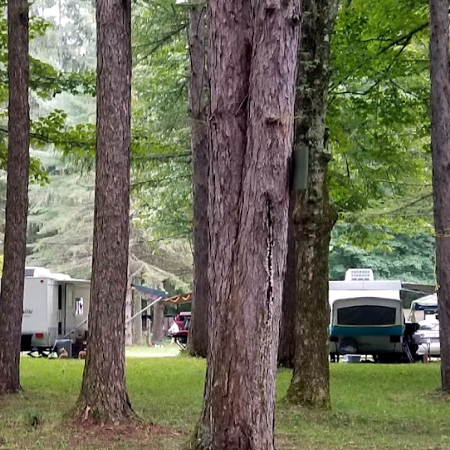 Camper-submitted photo at Woodward Cave Campground near Jersey Shore, PA
