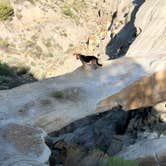Review photo of Makoshika State Park Campground by Thomas F., July 22, 2019