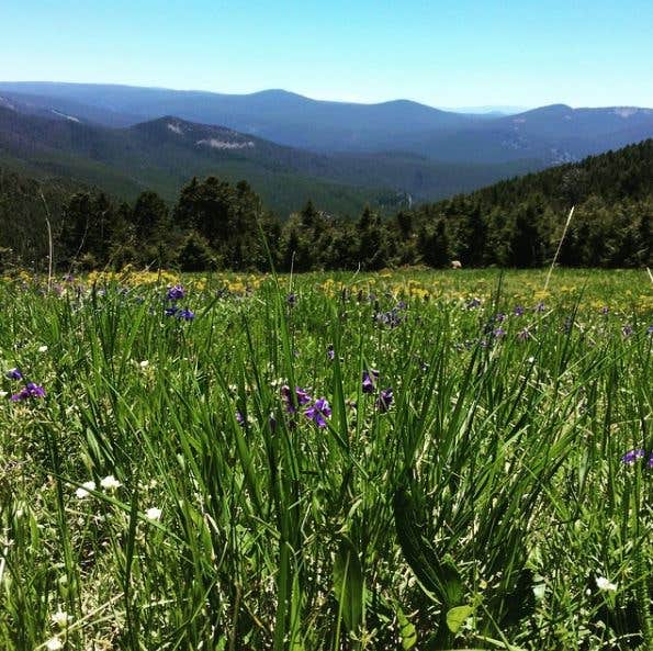 Camper-submitted photo at Monument Peak Lookout near Lewis and Clark National Forest