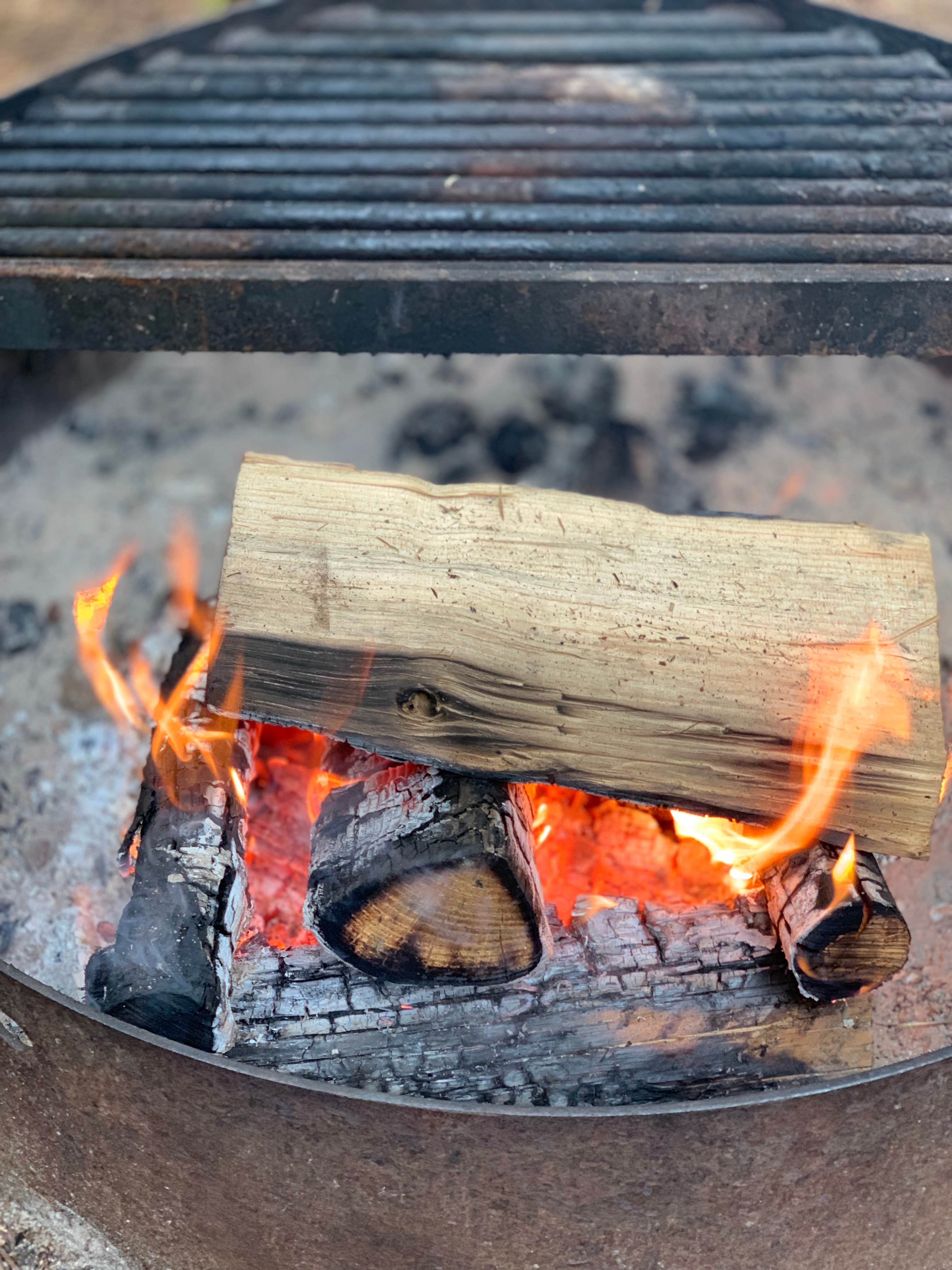 Camper-submitted photo at Trask River County Park near Lafayette, OR