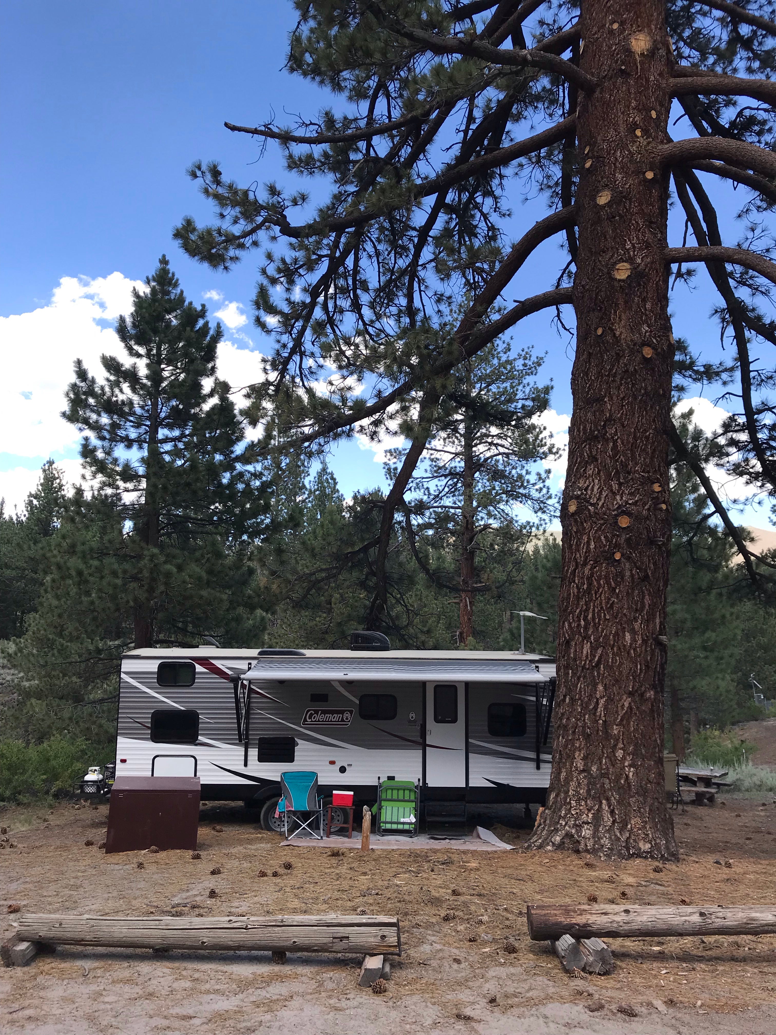 Camper submitted image from Big Springs Campground - 4