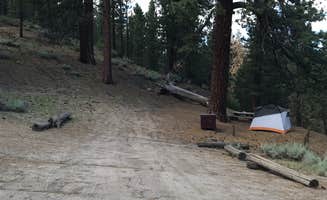 Paul C.'s photo at Big Springs Campground near Tahoe National Forest