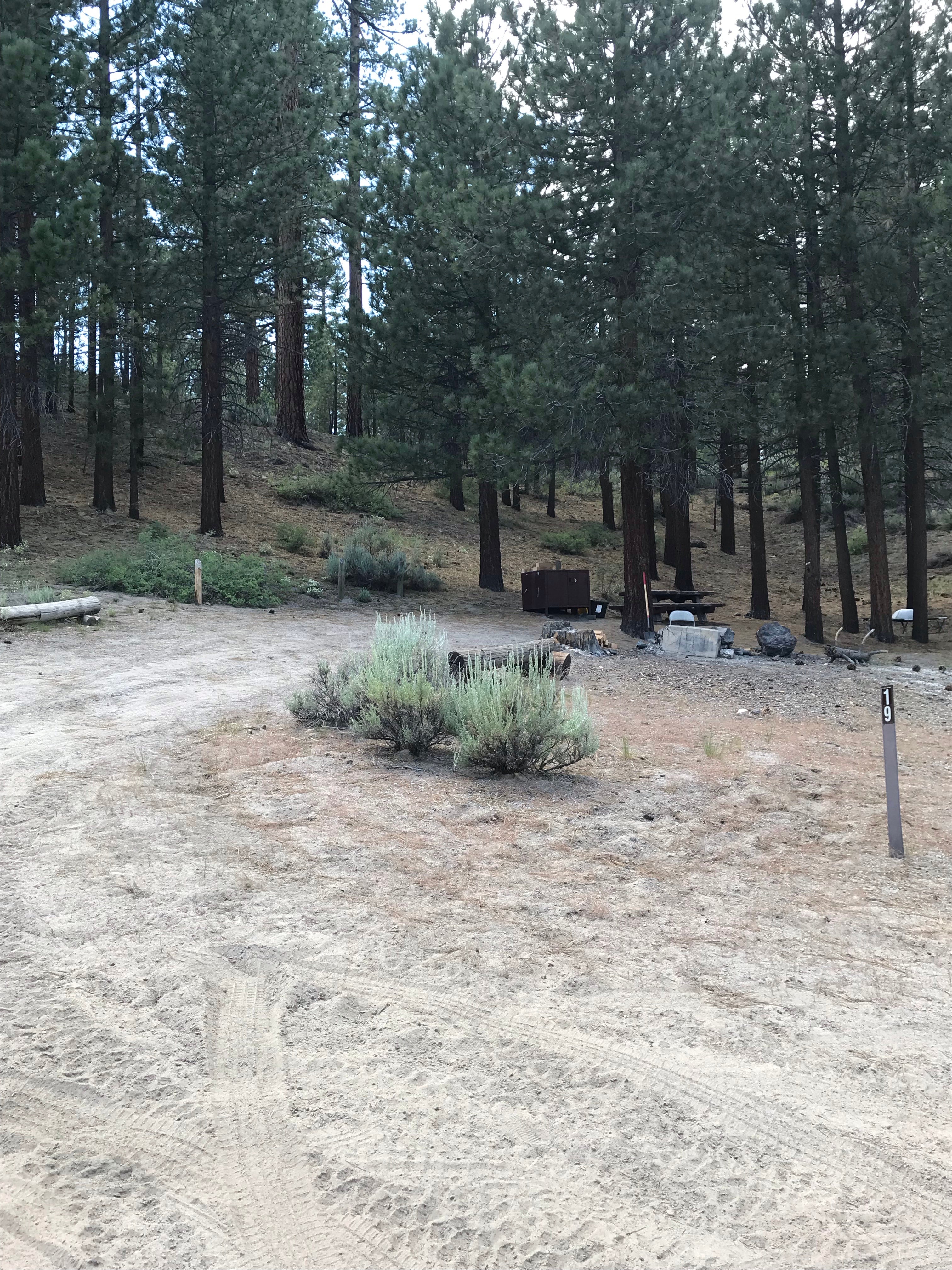 Camper submitted image from Big Springs Campground - 3